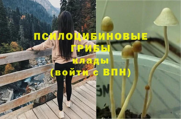 гашиш Абинск