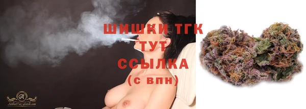 таблы Снежногорск