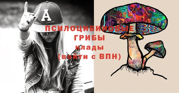 2c-b Абдулино