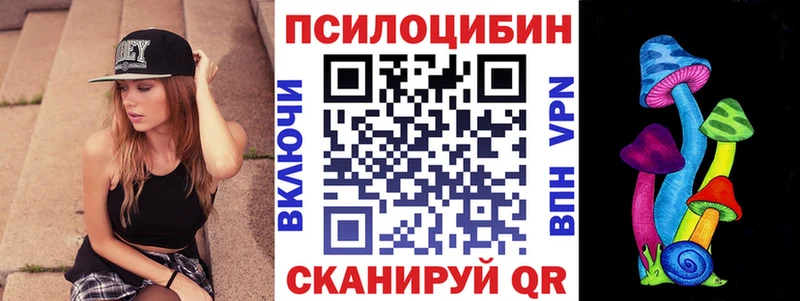 наркошоп  Галич  Галлюциногенные грибы Cubensis 